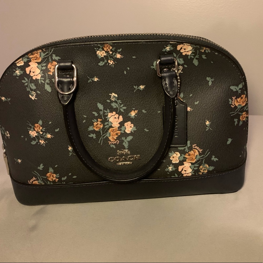 Coach mini crossbody